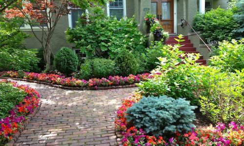 BG House Landscaping