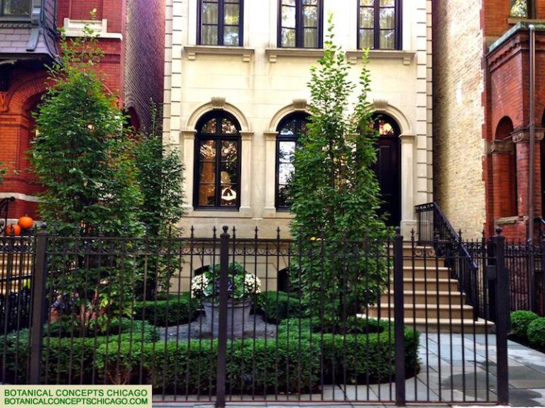Beautiful Landscaping Chicago
