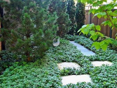 AS Stone Pathway