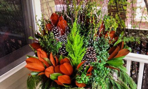 Fall Containers - Gardening in Chicago