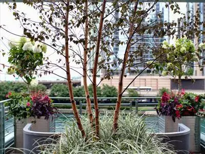 North Water - Chicago Roof Deck Project