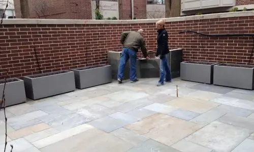 Euphoria - Chicago Landscaping Project - Before