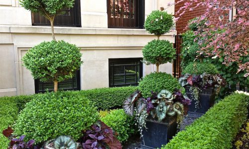 Sculpted Elegance - Chicago Landscaping Project