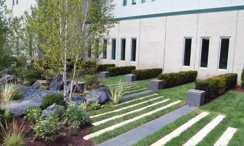 Healing Garden - Chicago Landscaping Project