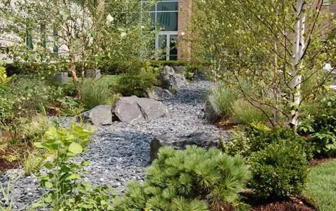 Healing Garden - Chicago Landscaping Project