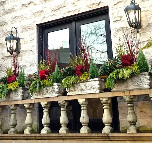 Winter - Chicago Landscaping