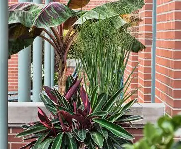 North Water - Chicago Roof Deck Project