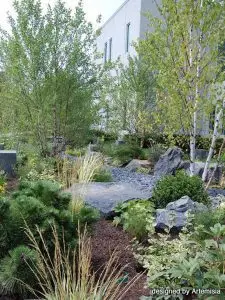 Healing Garden Landscapes