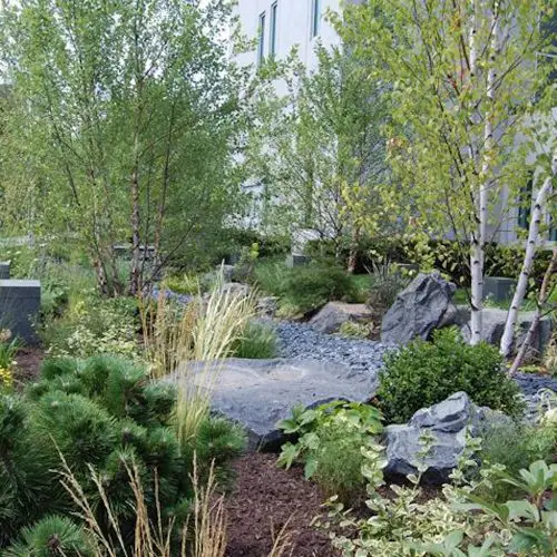 Healing Garden Landscapes