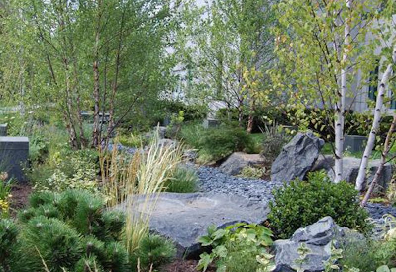 Healing Garden Botanical Concepts Chicago