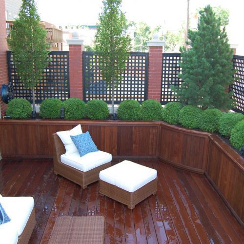 Colorado Setting - Chicago Roof Deck Project