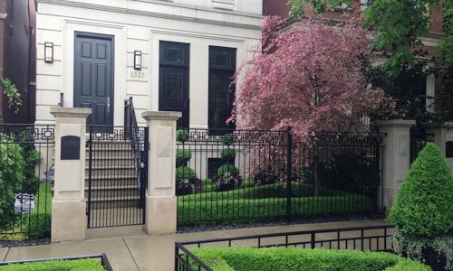 Sculpted Elegance - Chicago Landscaping Project