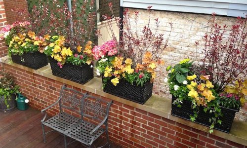 Spring Containers
