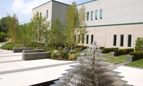 Commercial Landscape Water Feature