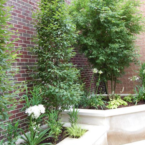 Hardscape Design for the Urban Garde