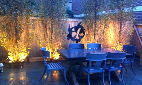 Lighting the Way for Beautiful Landscapes