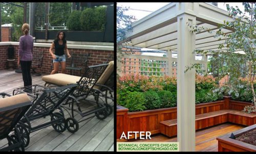 Before/After