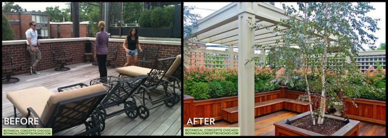 Before/After