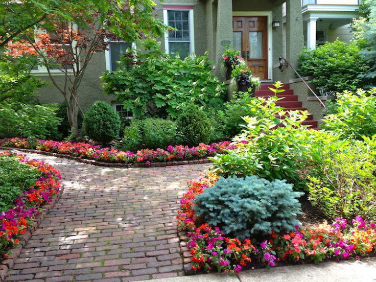 Maintaining a Healthy Garden