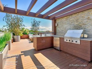 Bucktown Sky Deck - Chicago Roof Deck Project