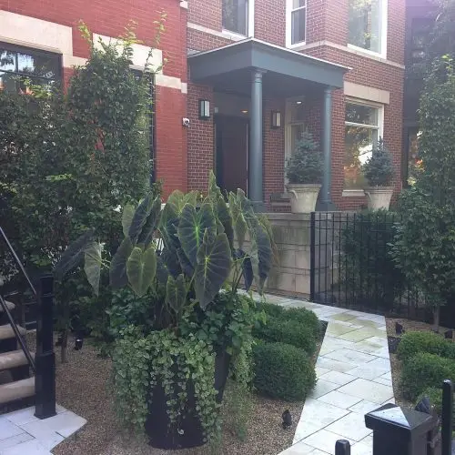 Architecture in Greenery - Chicago Landscaping Project