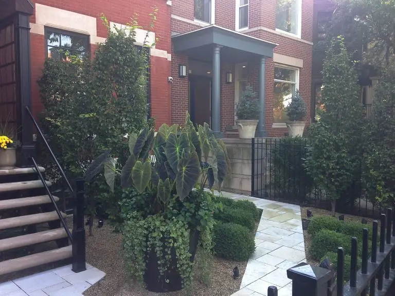 Architecture in Greenery - Chicago Landscaping Project