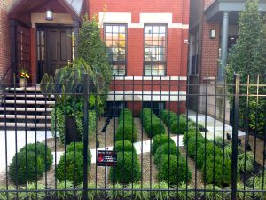 Architecture in Greenery - Chicago Landscaping Project