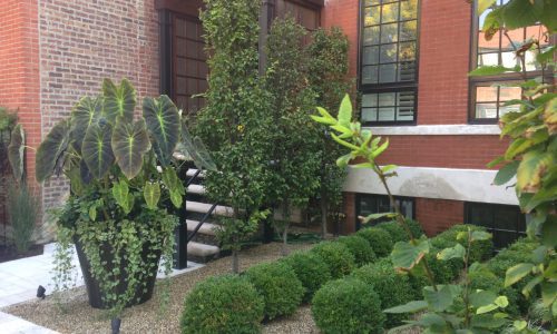 Architecture in Greenery - Chicago Landscaping Project