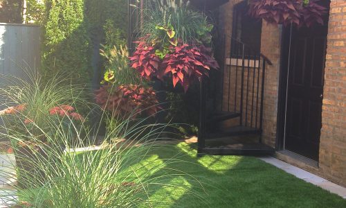 Architecture in Greenery - Chicago Landscaping Project