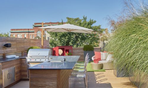 Sophisticated Family Retreat - Chicago Roof Deck Project