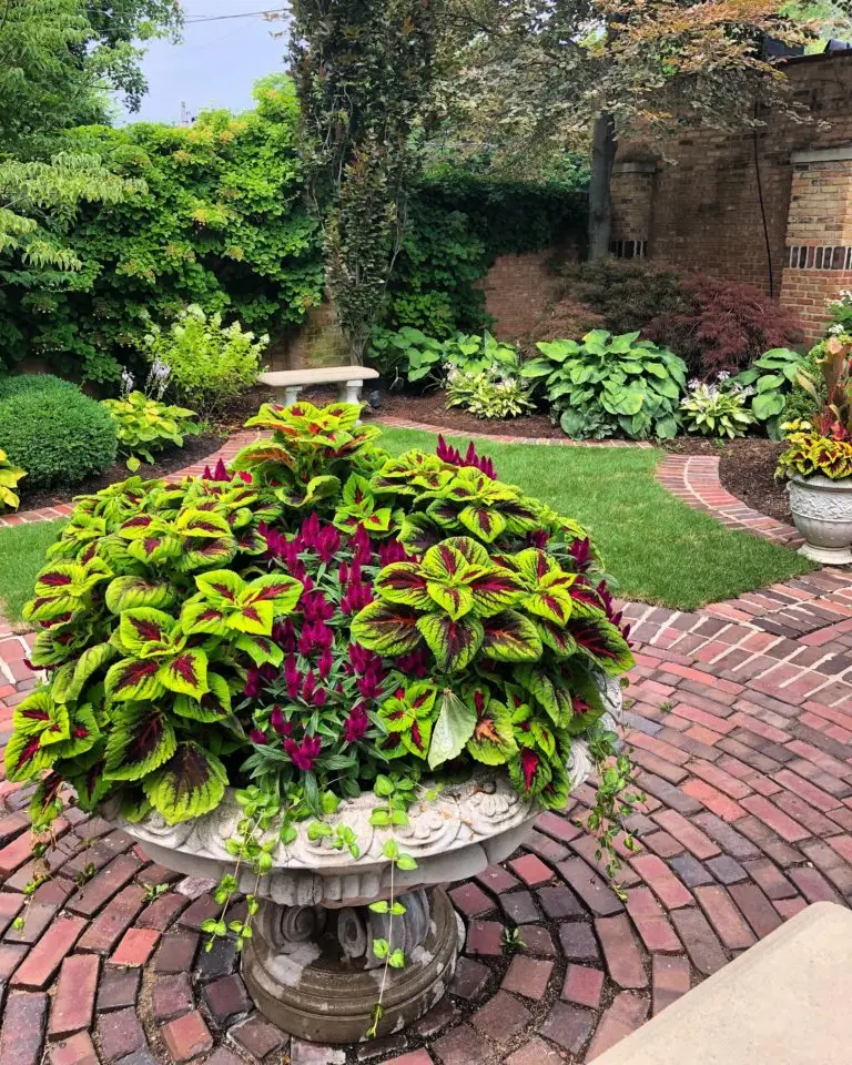 Roof Deck & Landscape Design Portfolio