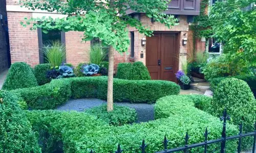 Artscaping - Chicago Landscaping Project