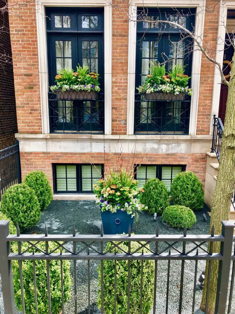 Roof Deck & Landscape Design Portfolio