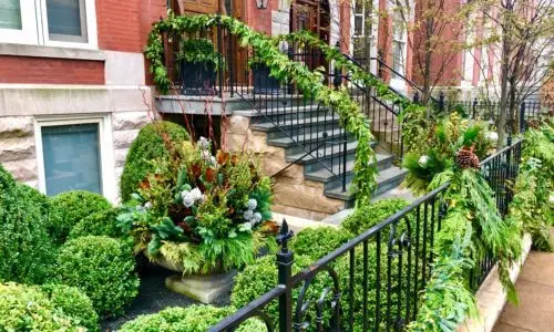 Beautiful urban Chicago landscaping