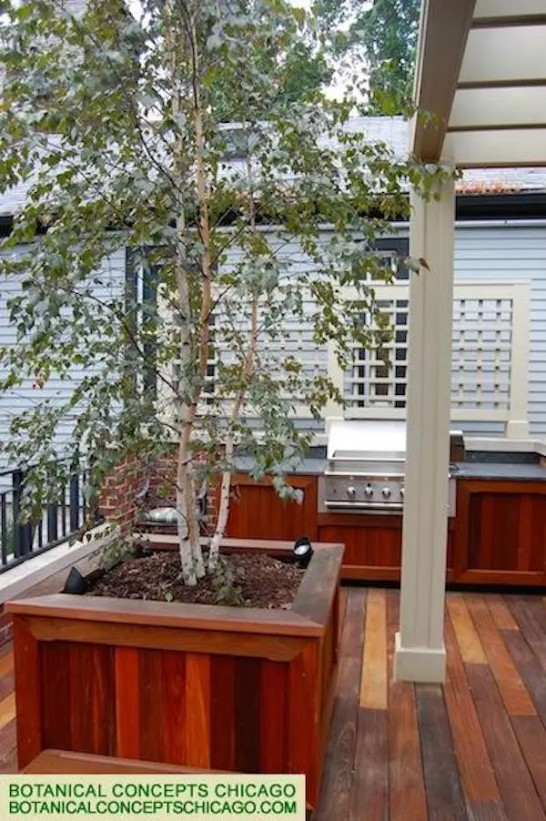 Ralph Lauren Inspired - Outdoor Grill - Outdoor Kitchen