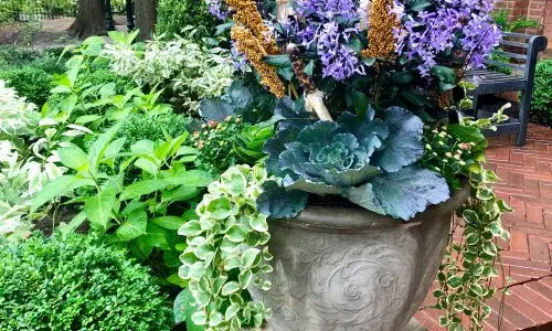 Landmark Revived - Botanical Concepts Chicago Landscaping Design