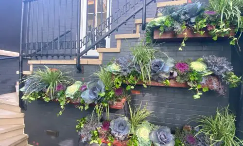 Seasonal Planting - Landscape Design Services Chicago