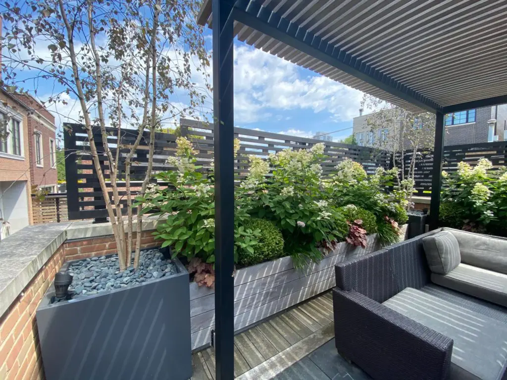 Chicago Rooftop Deck - Terrace to the Sky