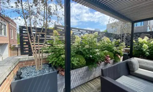 Chicago Rooftop Deck - Terrace to the Sky