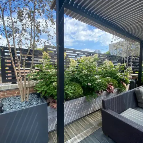 Chicago Rooftop Deck - Terrace to the Sky
