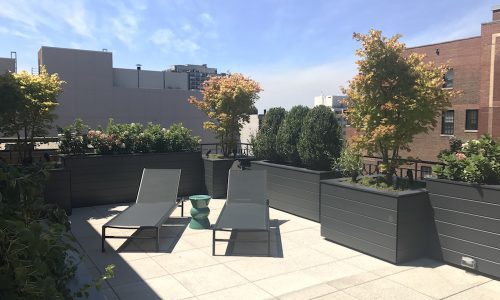 Chicago Rooftop Design and Landscaping: The Ambassador