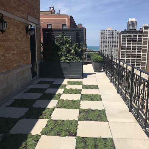 Chicago Rooftop Design and Landscaping: The Ambassador