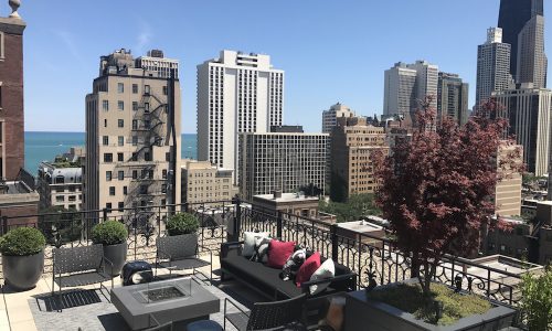 Chicago Rooftop Design and Landscaping: The Ambassador