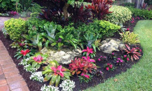 tropical landscaping