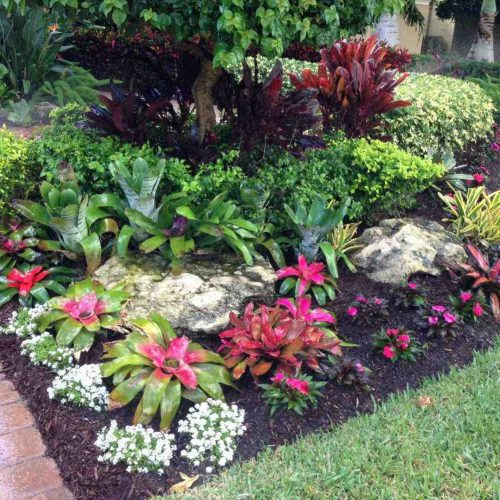 tropical landscaping