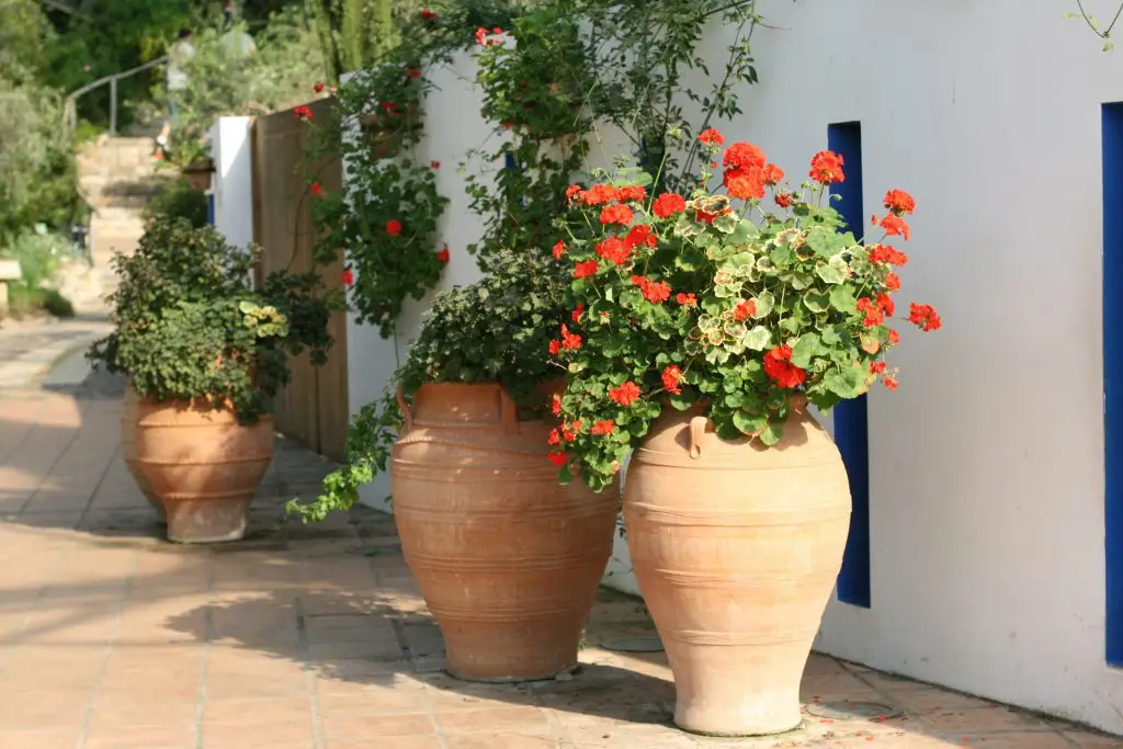 Mediterranean Garden Design