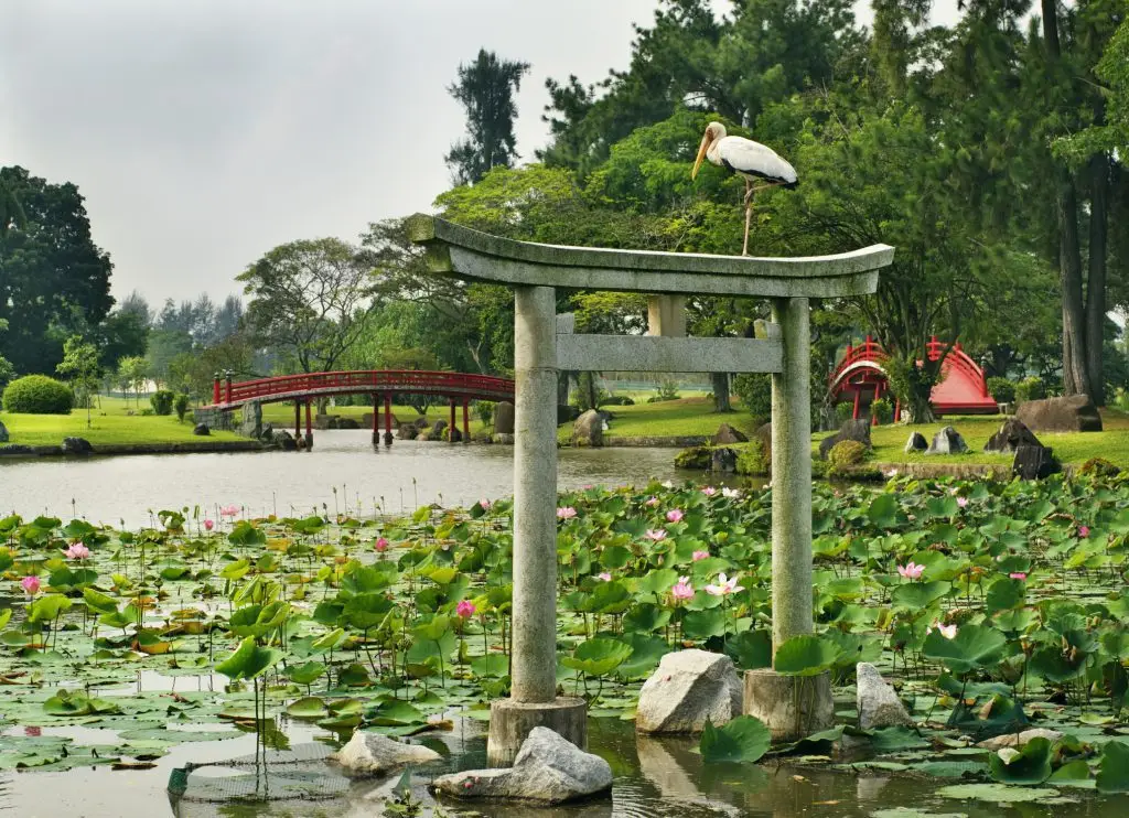 Japanese Garden Landscaping Design