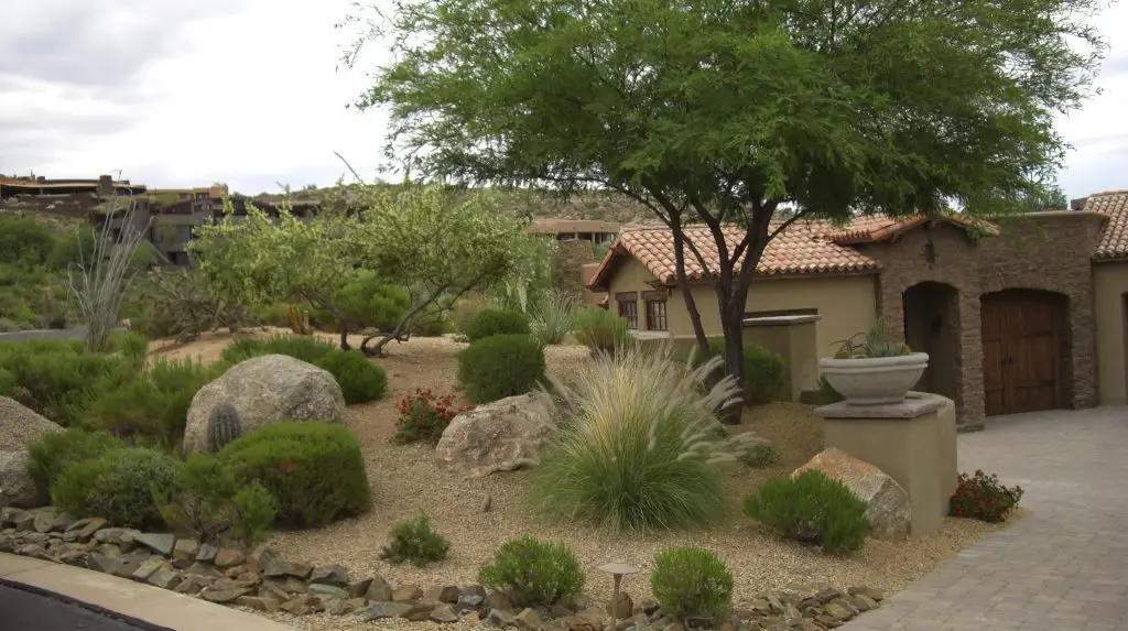 Landscaping in the Southwest