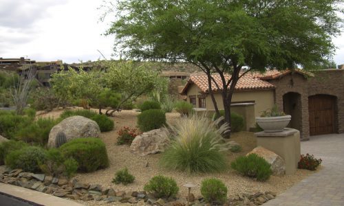 Landscaping in the Southwest
