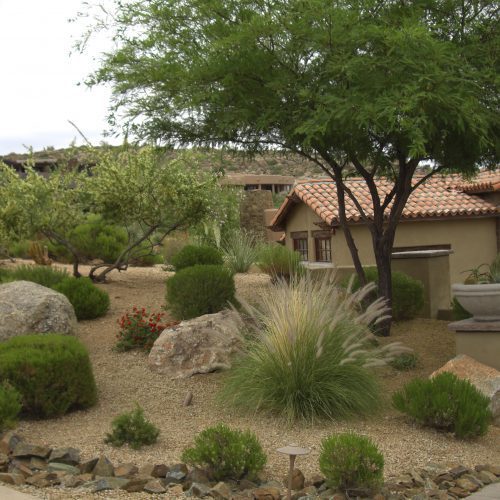 Landscaping in the Southwest